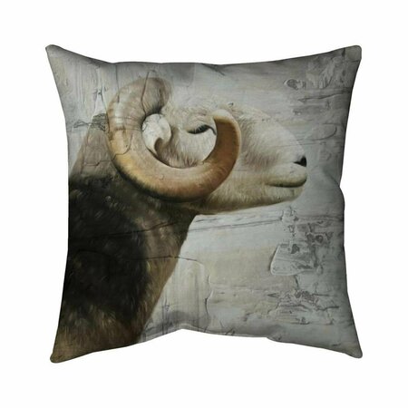 BEGIN HOME DECOR 20 x 20 in. Aries-Double Sided Print Indoor Pillow 5541-2020-AN455-1